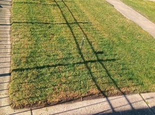 Lisa k.'s Yard Cutting service result