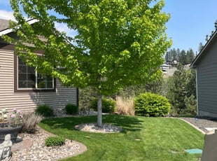Alan S.'s Yard Cutting service result