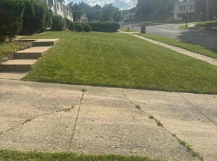 Patricia C.'s Lawn Mowing Service service result