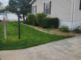 Katina T.'s Lawn Care service result