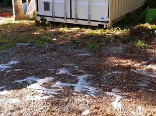 Cleanups by Marydonna Barkley for Raymond E. in Auburn, WA