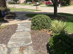 Bush Trimming by Jessie Austin for Cesar C. in Mansfield, TX
