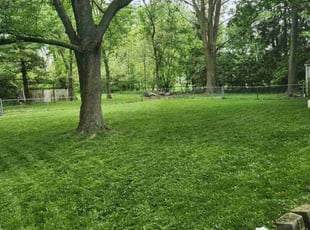 Michael N.'s Grass Cutting service result