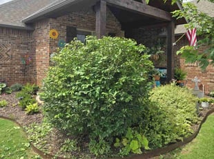 Bush Trimming by Issaiah Mosley for Karen N. in Mustang, OK