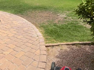 Weeding by Jonathan Bell for Ruth E. in Gilbert, AZ