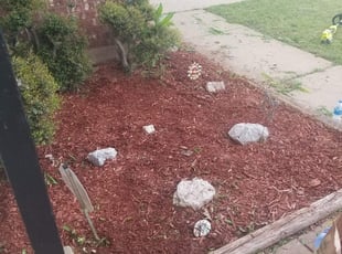 Mulching by Melissa Pryor for Teresa G. in Oklahoma City, OK