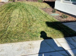 Allison M.'s Lawn Service service result