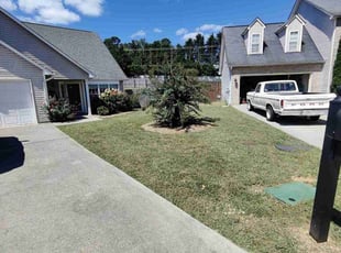 Larry L.'s Lawn Maintenance service result