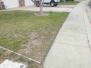 Leaf Removal by Ajai Narayan for Jeff F. in Sacramento, CA