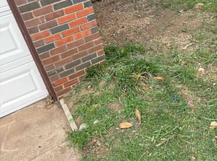 Weeding by Cesar Zuniga for Kyle S. in Midwest City, OK