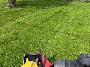 Diamond S.'s Lawn Service service result