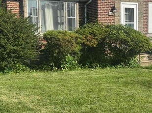 Bush Trimming by E B for Maryam M. in Philadelphia, PA