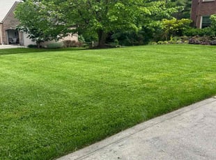 Marge B.'s Lawn Mowing service result