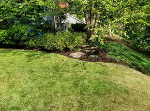 Landscaping by Douglas Rivas for Timothy Y. in Washington, DC