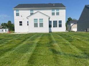 Danny S.'s Lawn Mowing service result