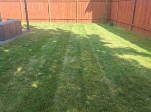 Glorie A.'s Grass Cutting service result