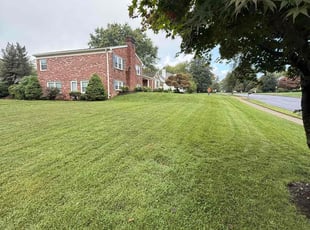 Jerry H.'s Grass Cutting service result