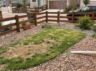 Weeding by David Newton for Timothy s. in Colorado Springs, CO