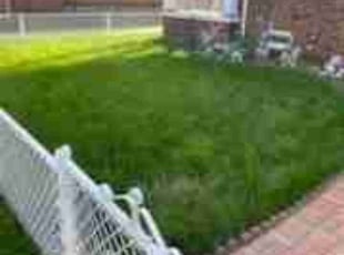 Jonathan B.'s Lawn Service service result