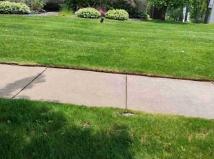 Rohdney T.'s Lawn Mowing service result