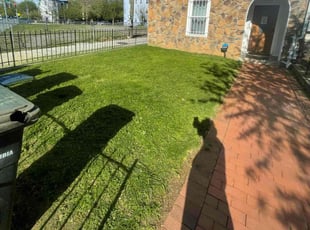 irvin d.'s Lawn Service service result