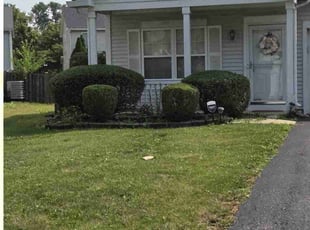 Bush Trimming by Nicholas Sarcletti for Brittany B. in Plainfield, IL