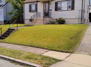 pamela j.'s Grass Cutting service result