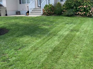 Melissa H.'s Lawn Maintenance service result