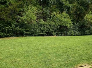Ken M.'s Lawn Mowing Service service result
