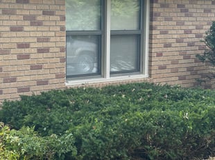 Bush Trimming by Wiley Halsey for Judy M. in Independence, MO