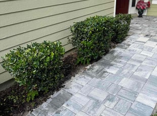 Bush Trimming by Marvin Jenkins for Meredith E. in Jacksonville, FL