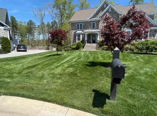 Karen C.'s Lawn Care service result
