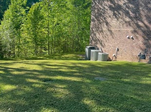 Erika C.'s Lawn Maintenance service result