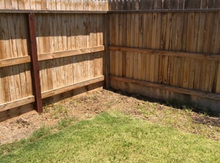 Weeding by Johnie Parker for Pakou H. in Fresno, CA
