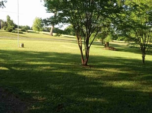 Wes S.'s Grass Cutting service result