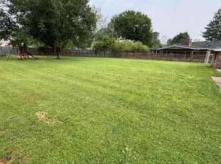 Nicole R.'s Grass Cutting service result