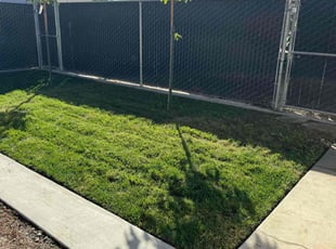 ROWARD S.'s Lawn Care service result