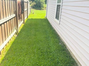 Tonnett D.'s Yard Cutting service result