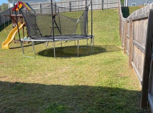 Susan C.'s Lawn Mowing service result
