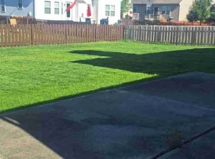 Alan J.'s Lawn Maintenance service result