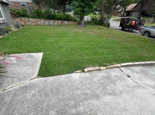 Fortino D.'s Lawn Service service result