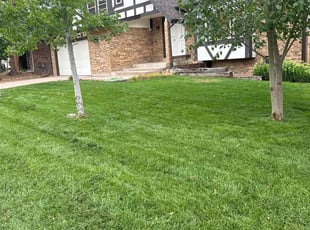 Teresa L.'s Lawn Mowing Service service result