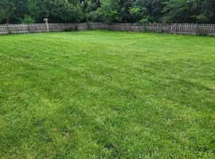 Spencer P.'s Lawn Care service result