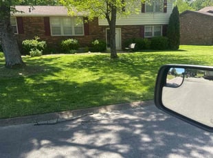 Dakota H.'s Grass Cutting service result