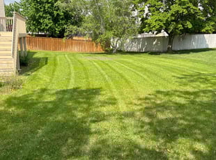 Michelle C.'s Lawn Mowing service result
