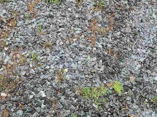 Weeding by Metrius Lloyd for Aver R. in Rock Hill, SC