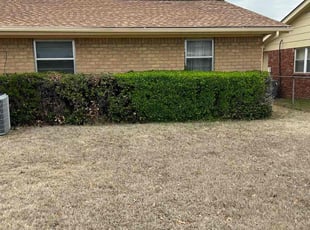 Bush Trimming by Stoney Recess for Danielle W. in Tulsa, OK