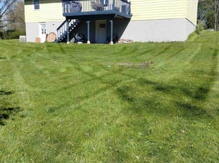 Cheyna M.'s Yard Cutting service result