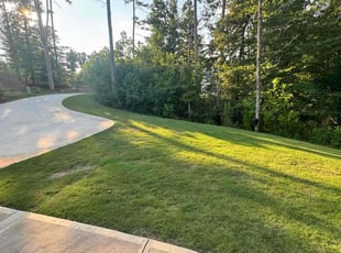 Kandis M.'s Lawn Mowing service result