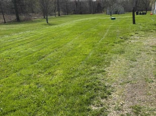 Beverly B.'s Lawn Service service result